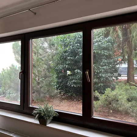 Apartmenthaus Reulandstrasse 16 Διαμέρισμα Τρίερ